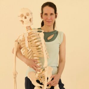 Bewegte Anatomie • Fortbildung • 02.10.-04.10.2026