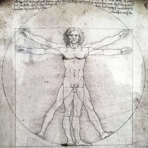 Bewegte Anatomie • Fortbildung • 02.10.-04.10.2026