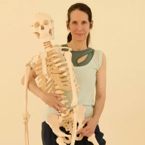 Bewegte Anatomie • Fortbildung • 02.10.-04.10.2026
